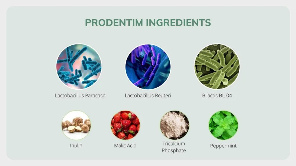 ProDentim Ingredients List